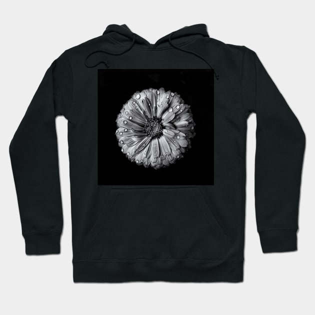 Backyard Flowers In Black And White 10 Hoodie by learningcurveca
